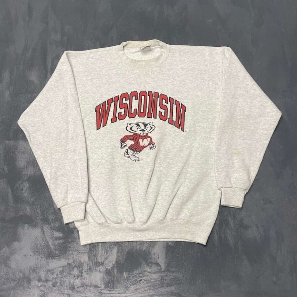 Vintage Santee Sweats Wisconsin Badgers Lβ Grey 90s Good Heavyweight Crewneck